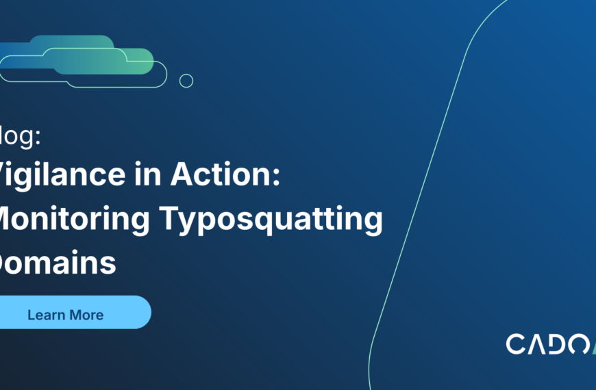 Vigilance In Action: Monitoring Typosquatting Domains